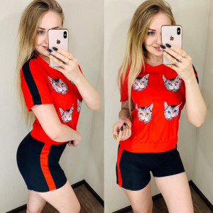 Спортивный костюм #20370801